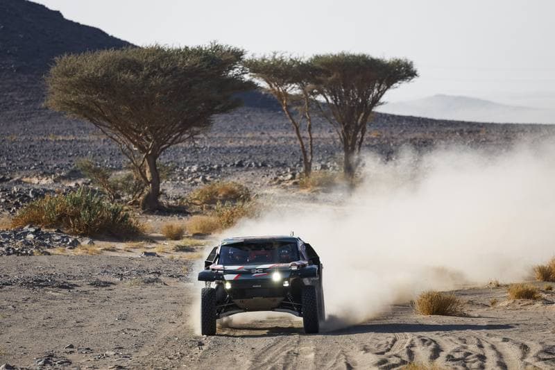 Motorsport. Dakar Rally. Stage 9. 13.01.2026