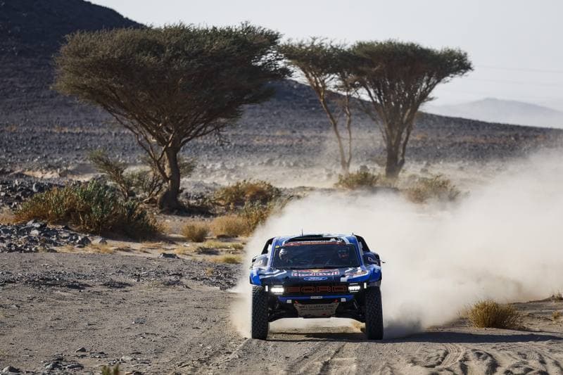 Motorsport. Dakar Rally. Stage 9. 13.01.2026