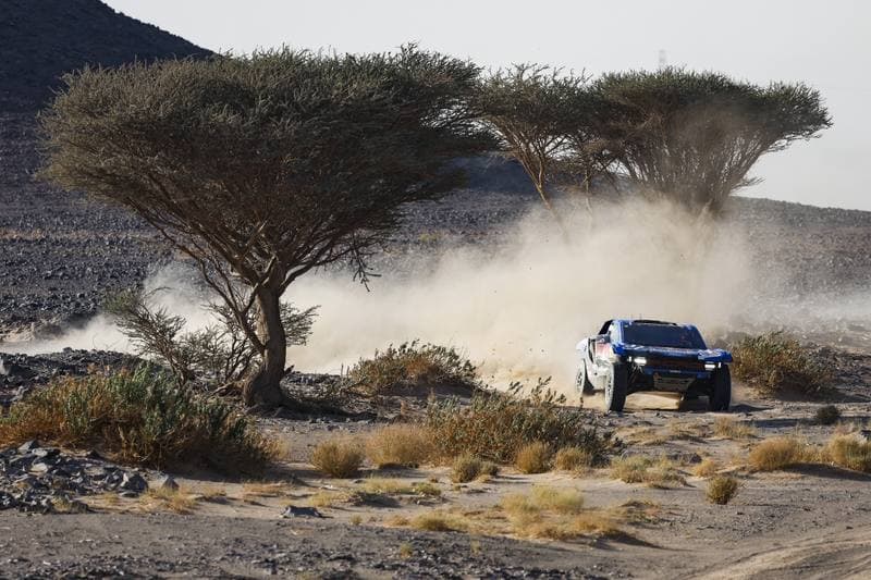 Motorsport. Dakar Rally. Stage 9. 13.01.2026