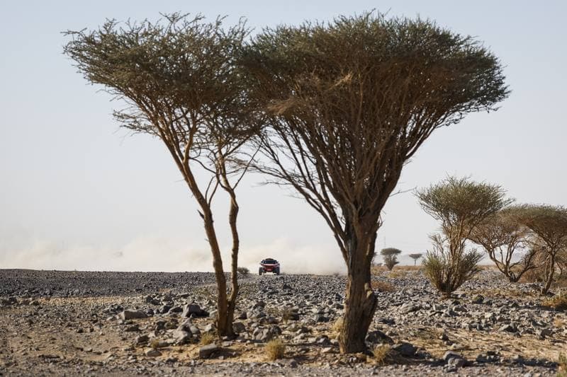Motorsport. Dakar Rally. Stage 9. 13.01.2026