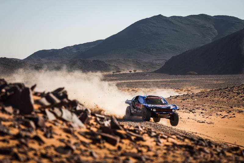 Motorsport. Dakar Rally. Stage 9. 13.01.2026