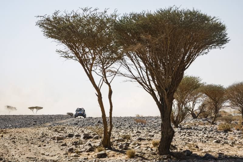 Motorsport. Dakar Rally. Stage 9. 13.01.2026