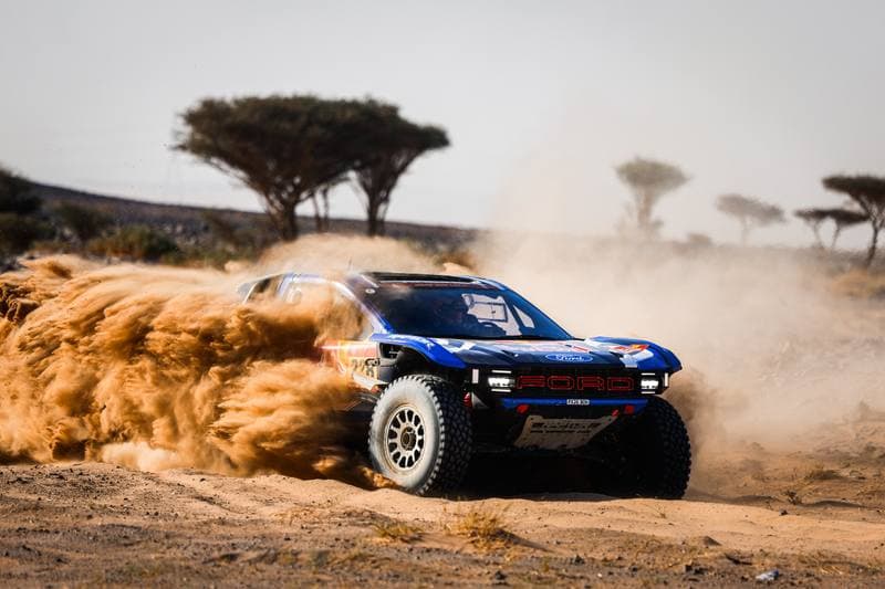 Motorsport. Dakar Rally. Stage 9. 13.01.2026