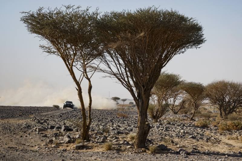 Motorsport. Dakar Rally. Stage 9. 13.01.2026