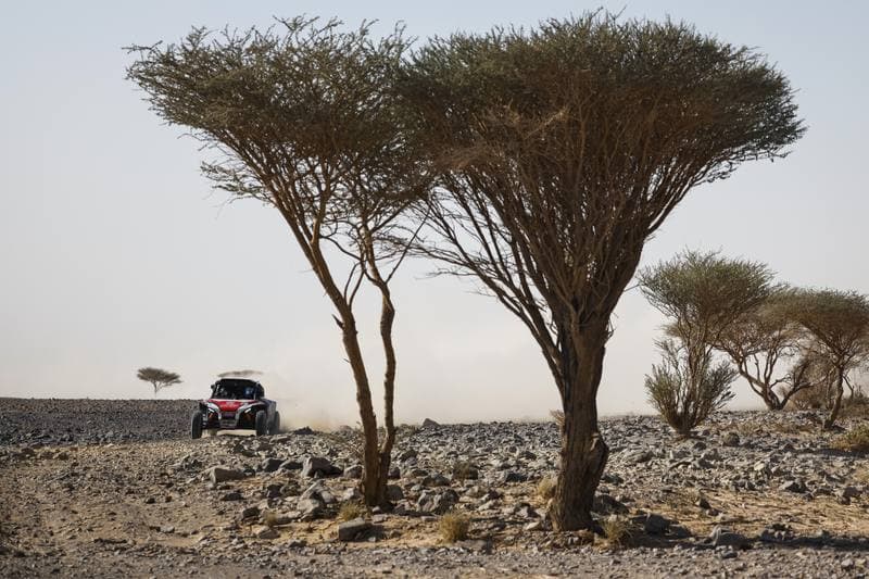 Motorsport. Dakar Rally. Stage 9. 13.01.2026