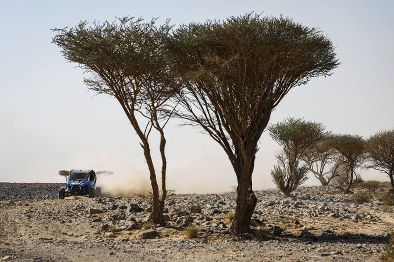 Motorsport. Dakar Rally. Stage 9. 13.01.2026