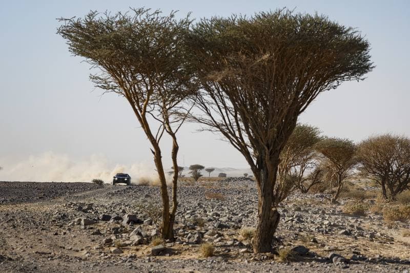 Motorsport. Dakar Rally. Stage 9. 13.01.2026