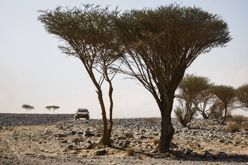 Motorsport. Dakar Rally. Stage 9. 13.01.2026