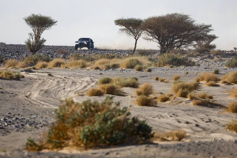 Motorsport. Dakar Rally. Stage 9. 13.01.2026
