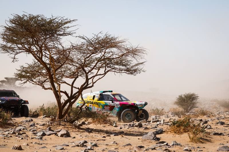 Motorsport. Dakar Rally. Stage 9. 13.01.2026