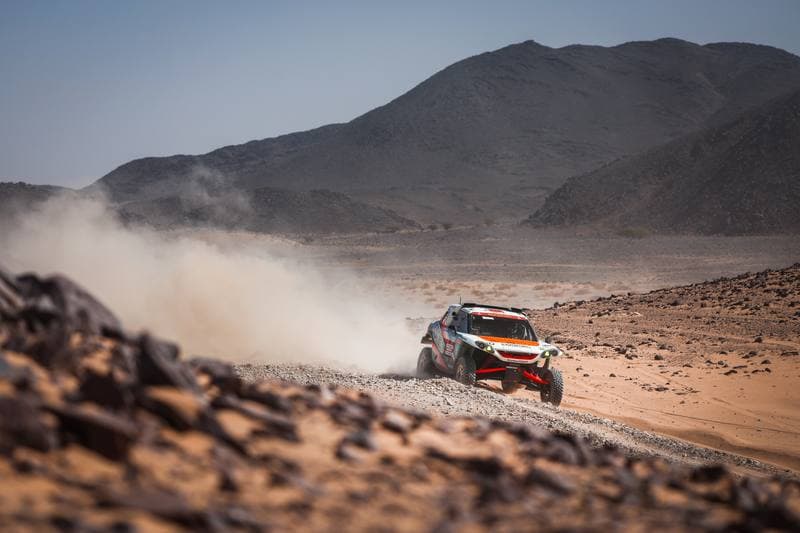 Motorsport. Dakar Rally. Stage 9. 13.01.2026