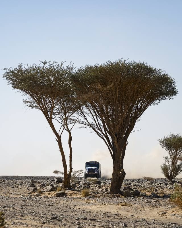 Motorsport. Dakar Rally. Stage 9. 13.01.2026