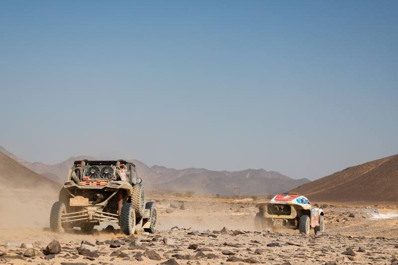 Motorsport. Dakar Rally. Stage 9. 13.01.2026