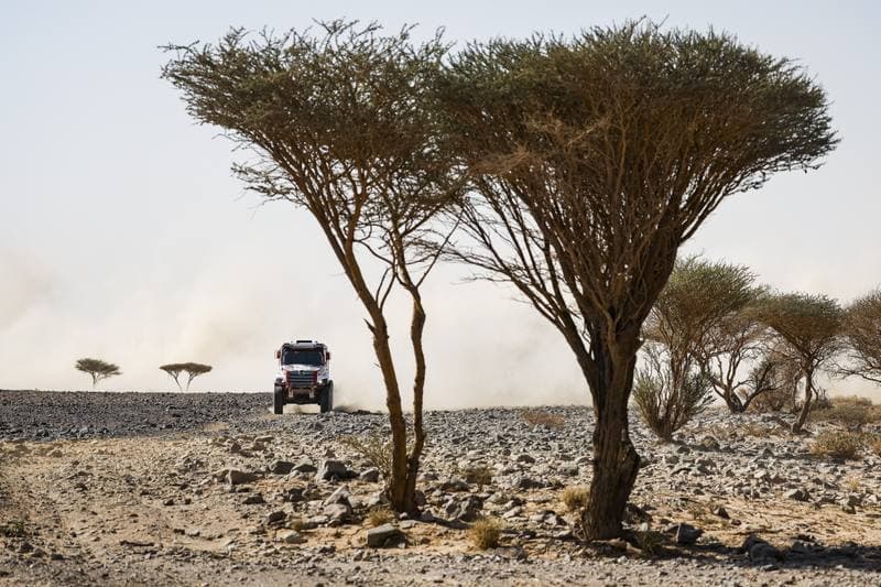Motorsport. Dakar Rally. Stage 9. 13.01.2026