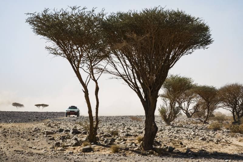Motorsport. Dakar Rally. Stage 9. 13.01.2026