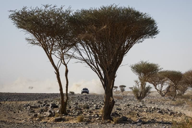 Motorsport. Dakar Rally. Stage 9. 13.01.2026