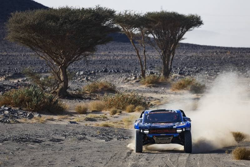 Motorsport. Dakar Rally. Stage 9. 13.01.2026