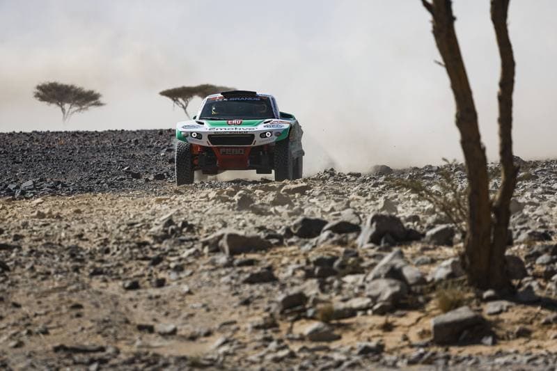 Motorsport. Dakar Rally. Stage 9. 13.01.2026