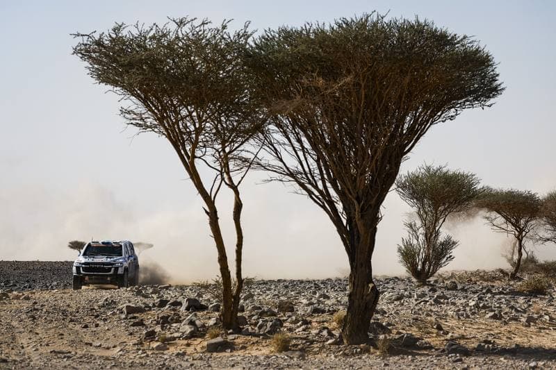 Motorsport. Dakar Rally. Stage 9. 13.01.2026