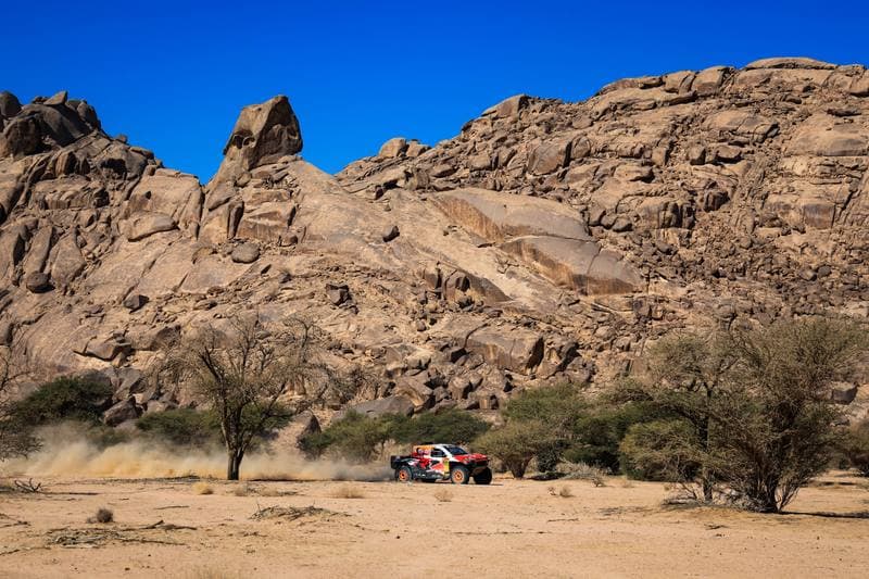 Motorsport. Dakar Rally. Stage 9. 13.01.2026