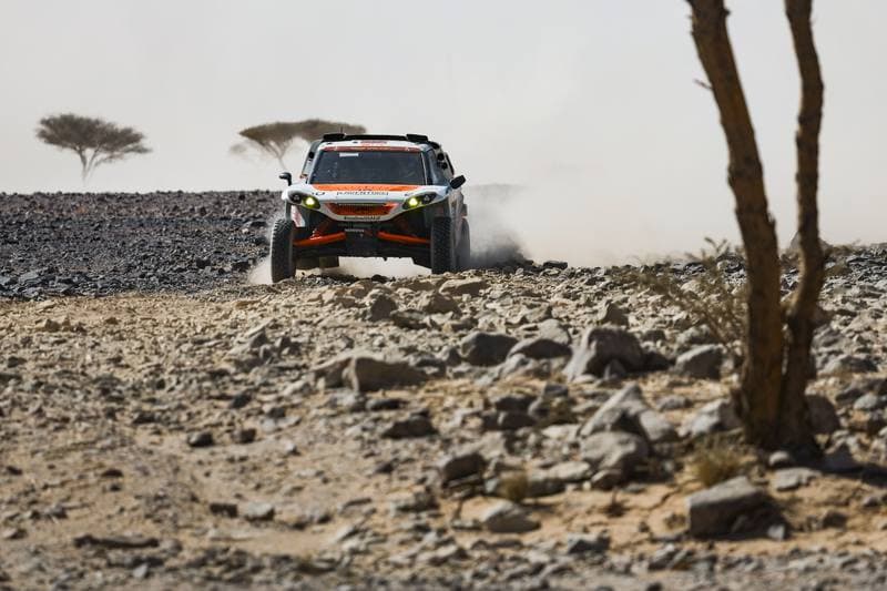 Motorsport. Dakar Rally. Stage 9. 13.01.2026
