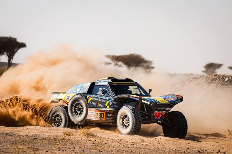 Motorsport. Dakar Rally. Stage 9. 13.01.2026