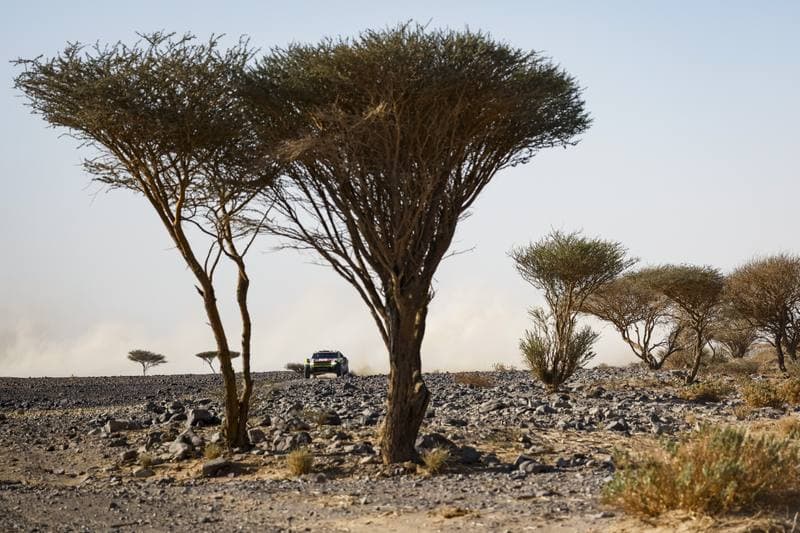 Motorsport. Dakar Rally. Stage 9. 13.01.2026