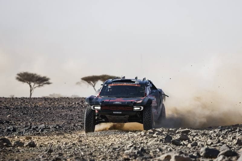 Motorsport. Dakar Rally. Stage 9. 13.01.2026