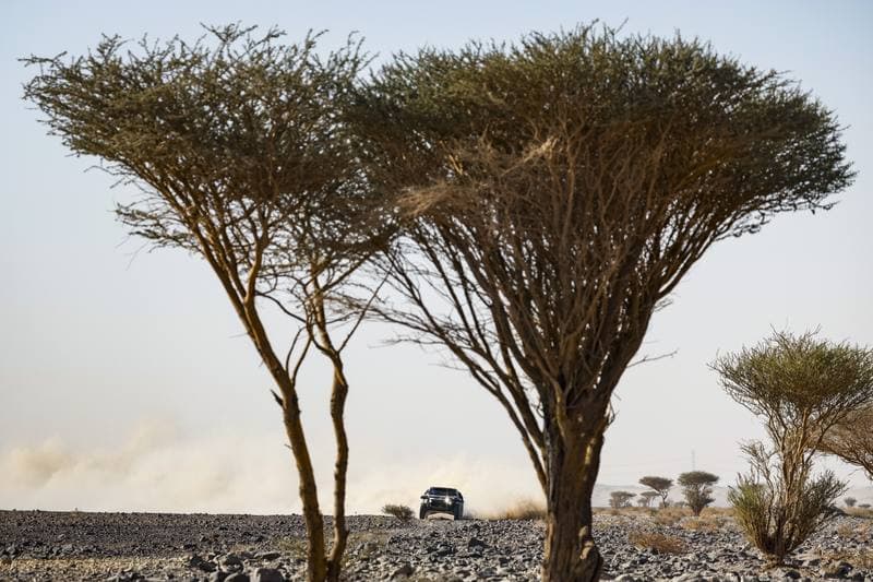 Motorsport. Dakar Rally. Stage 9. 13.01.2026