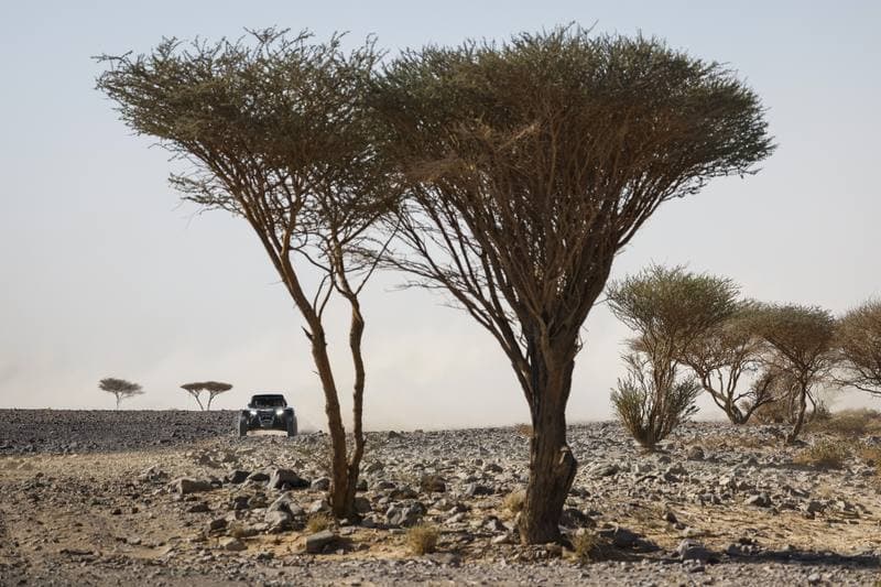 Motorsport. Dakar Rally. Stage 9. 13.01.2026