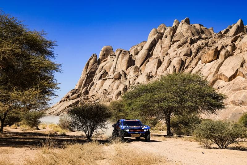 Motorsport. Dakar Rally. Stage 9. 13.01.2026