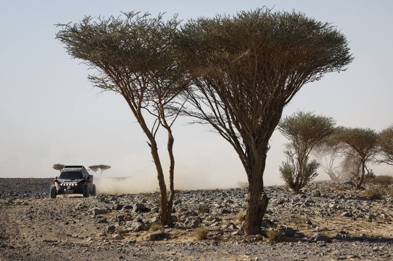 Motorsport. Dakar Rally. Stage 9. 13.01.2026