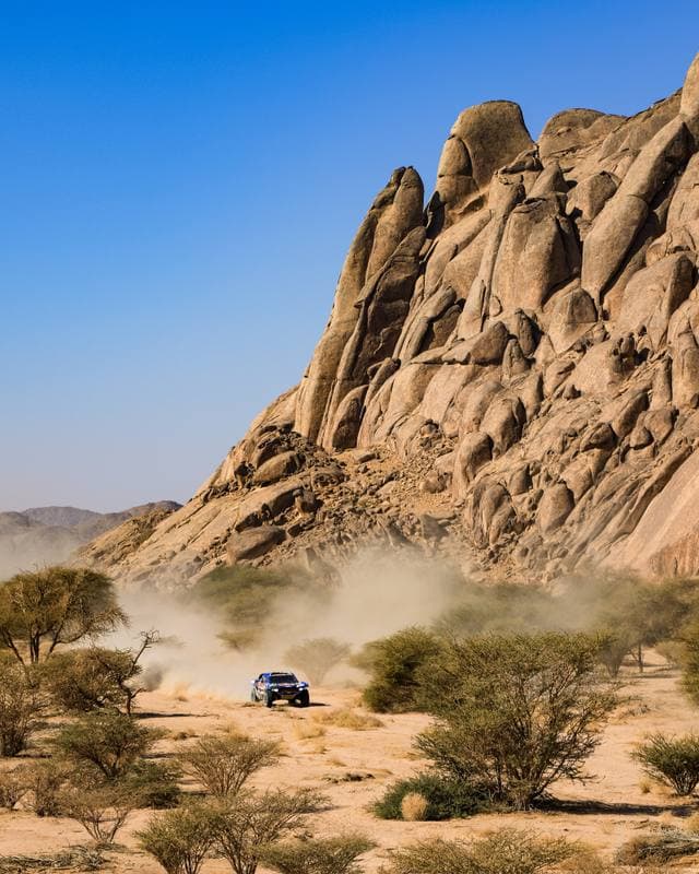 Motorsport. Dakar Rally. Stage 9. 13.01.2026