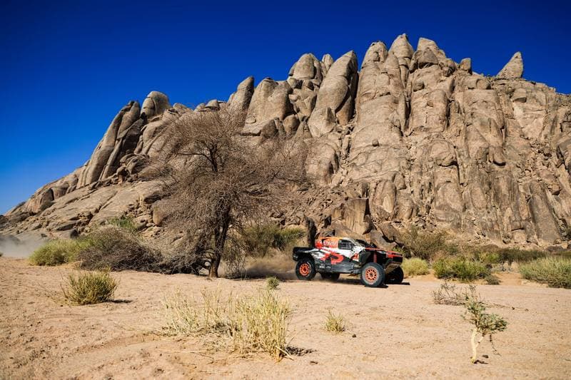 Motorsport. Dakar Rally. Stage 9. 13.01.2026