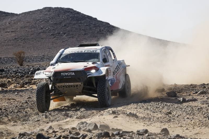 Motorsport. Dakar Rally. Stage 9. 13.01.2026