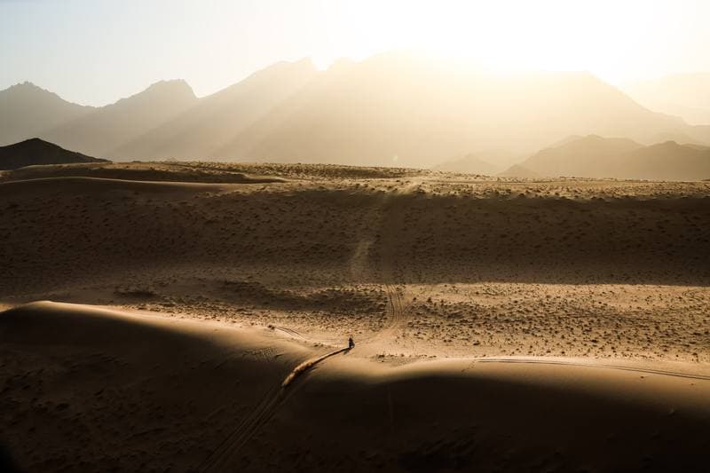 Motorsport. Dakar Rally. Stage 12. 16.01.2026