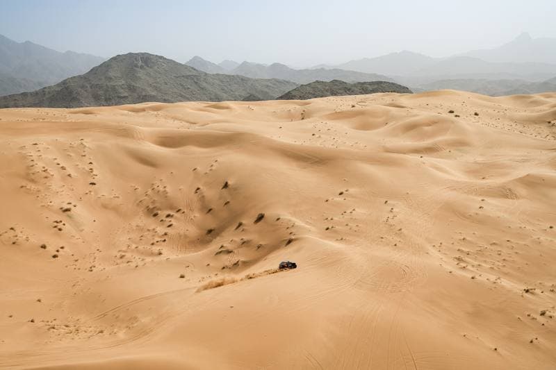 Motorsport. Dakar Rally. Stage 12. 16.01.2026