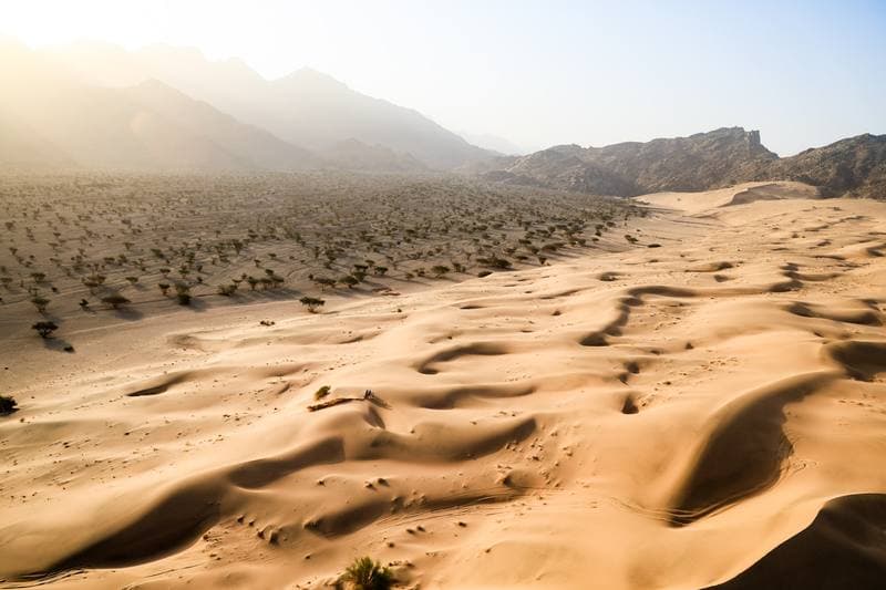 Motorsport. Dakar Rally. Stage 12. 16.01.2026