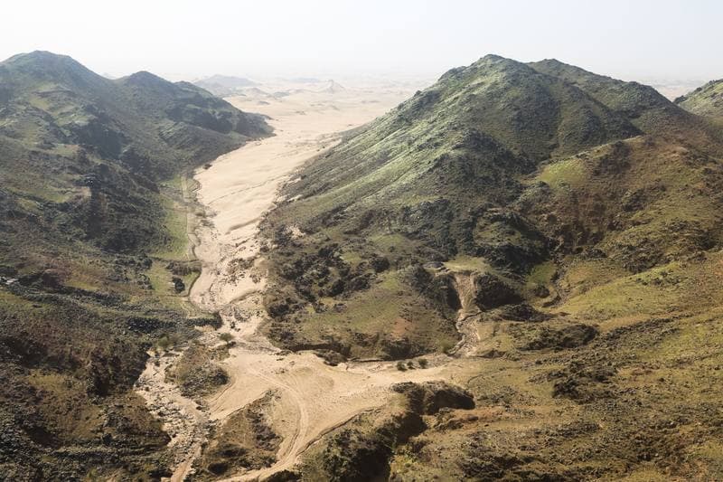 Motorsport. Dakar Rally. Stage 12. 16.01.2026