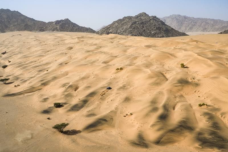 Motorsport. Dakar Rally. Stage 12. 16.01.2026