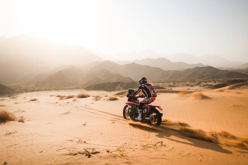 Motorsport. Dakar Rally. Stage 12. 16.01.2026
