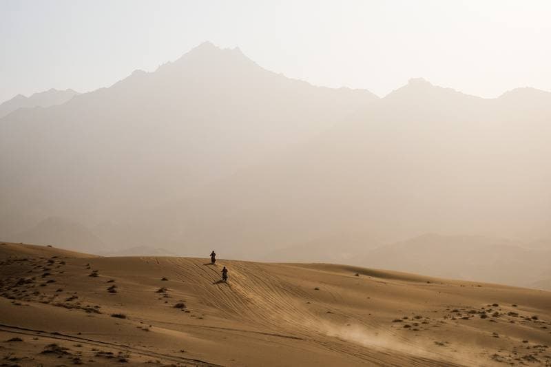 Motorsport. Dakar Rally. Stage 12. 16.01.2026