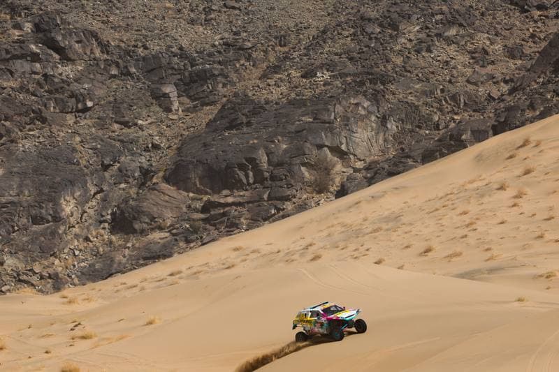 Motorsport. Dakar Rally. Stage 12. 16.01.2026