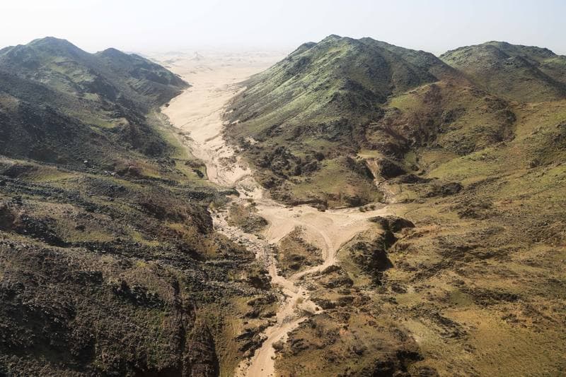 Motorsport. Dakar Rally. Stage 12. 16.01.2026