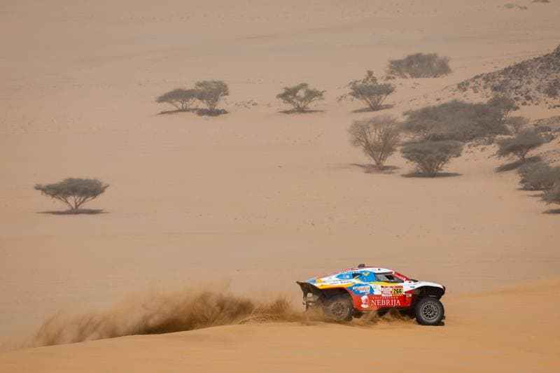 Motorsport. Dakar Rally. Stage 12. 16.01.2026