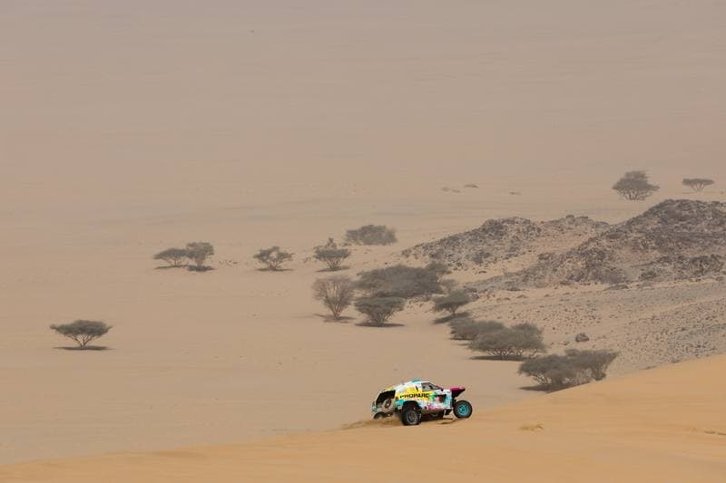Motorsport. Dakar Rally. Stage 12. 16.01.2026
