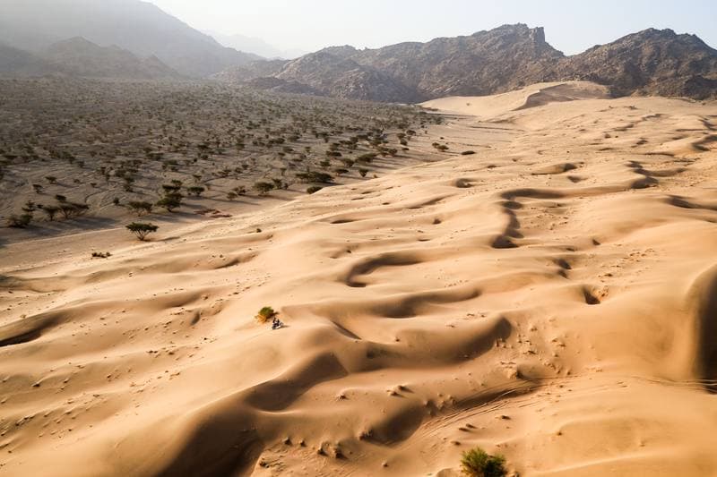 Motorsport. Dakar Rally. Stage 12. 16.01.2026