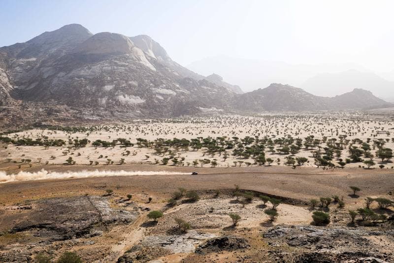 Motorsport. Dakar Rally. Stage 12. 16.01.2026