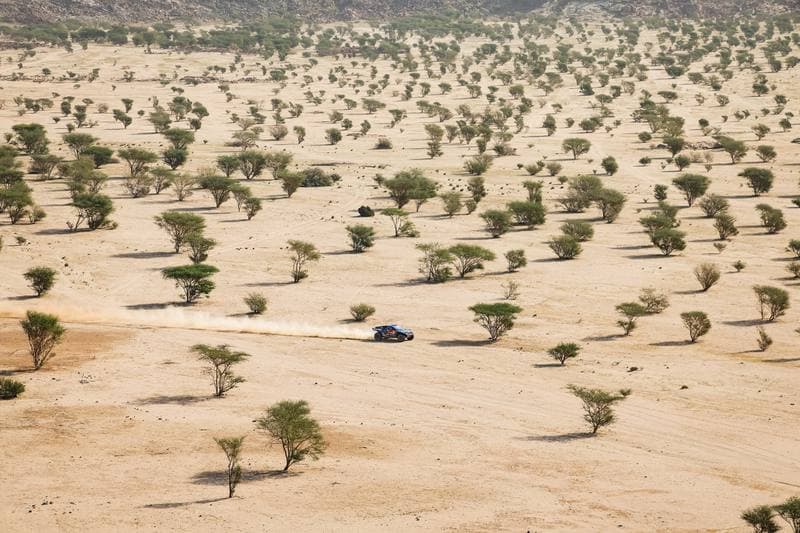 Motorsport. Dakar Rally. Stage 12. 16.01.2026