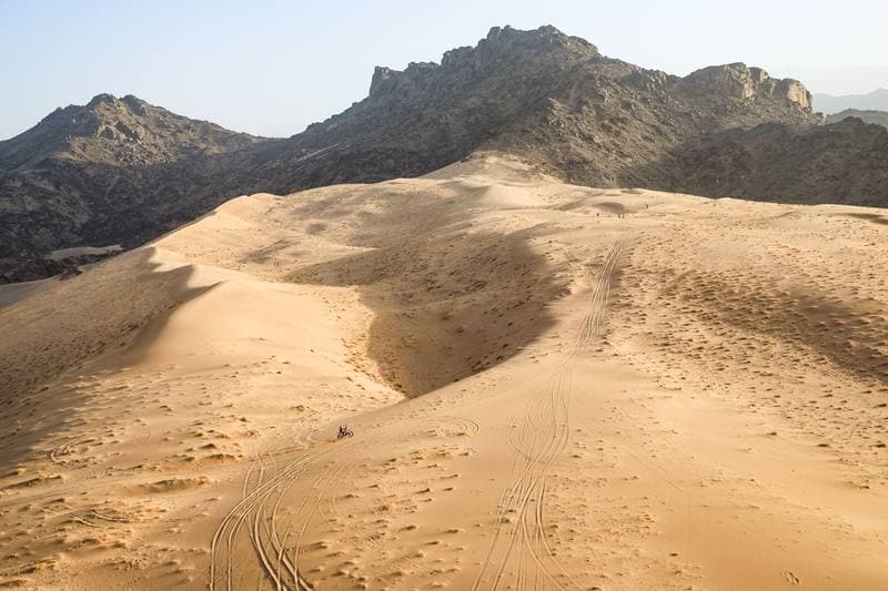 Motorsport. Dakar Rally. Stage 12. 16.01.2026